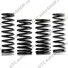 Suspensie OME Nitrocharger Plus +10cm Land Cruiser 80 si 105